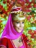 Barbara Eden